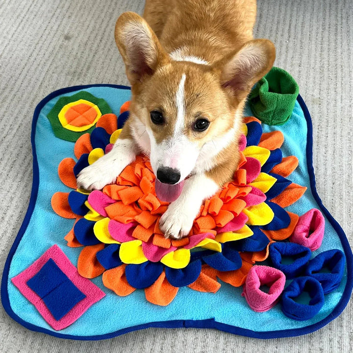 Interactive Dog Snuffle Mat
