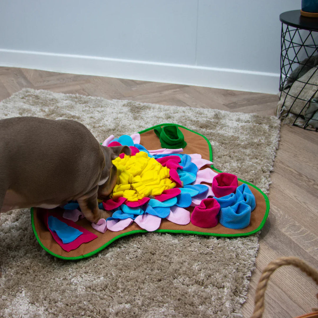 Interactive Dog Snuffle Mat