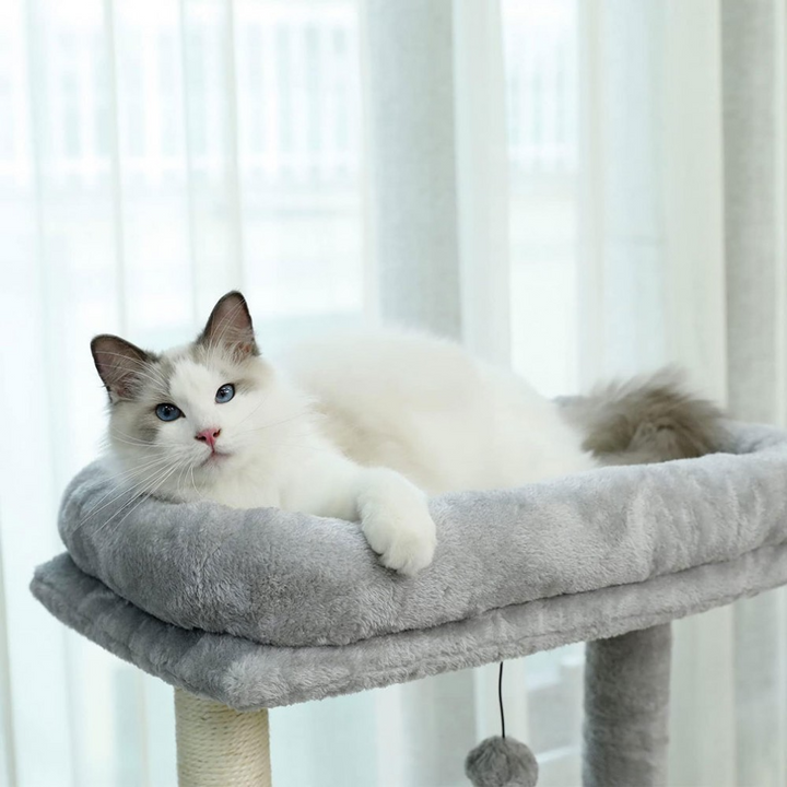 Cat Tree Tower with Modern Spacious Hammocks