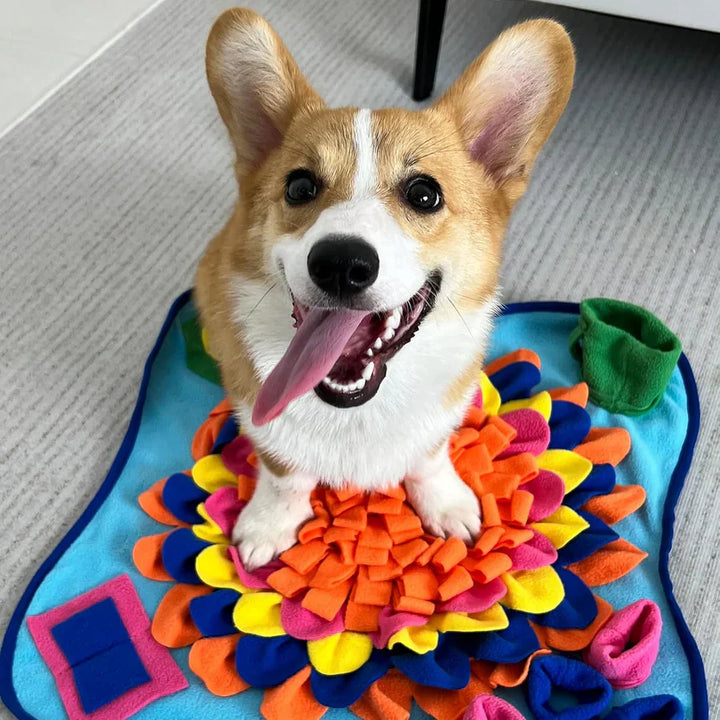 Interactive Dog Snuffle Mat