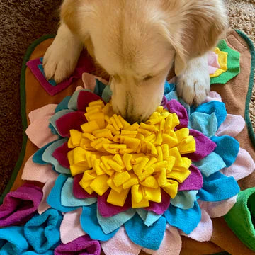 Interactive Dog Snuffle Mat